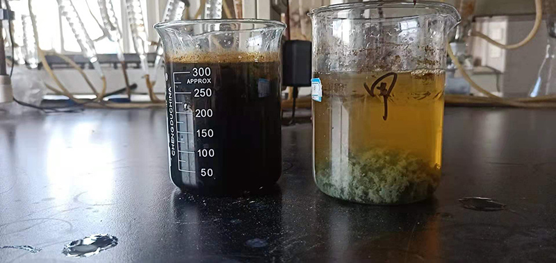 國(guó)家能源集團(tuán)廢水處理使用焦化廢水絮凝劑
