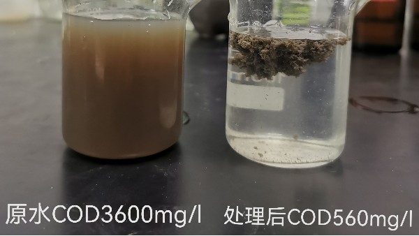 什么是污泥沉降比(SV)？