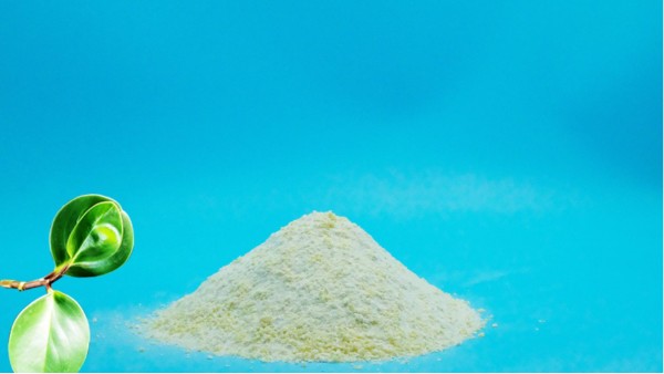導(dǎo)致污泥膨脹的原因有哪些？