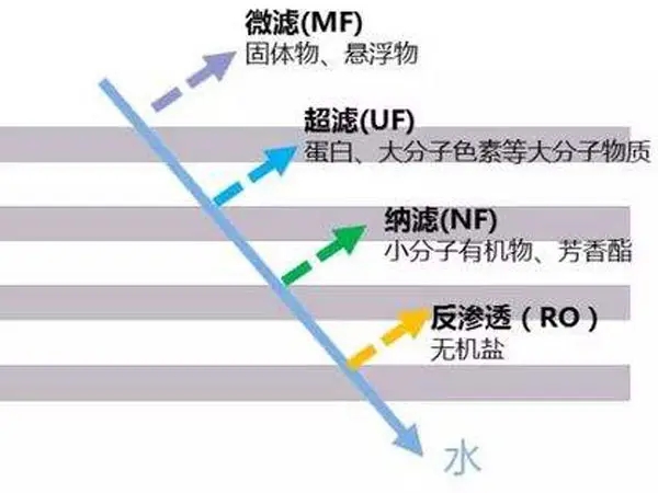 膜分離類(lèi)型.webp