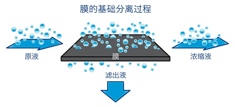 膜分離技術(shù).webp