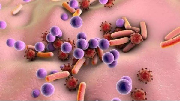 微生物最適宜在什么溫度范圍內(nèi)生長繁殖？